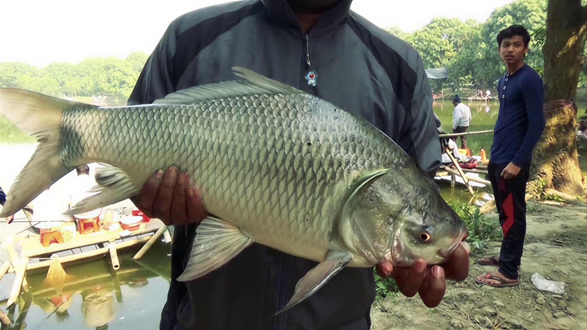 Fish Feed-1