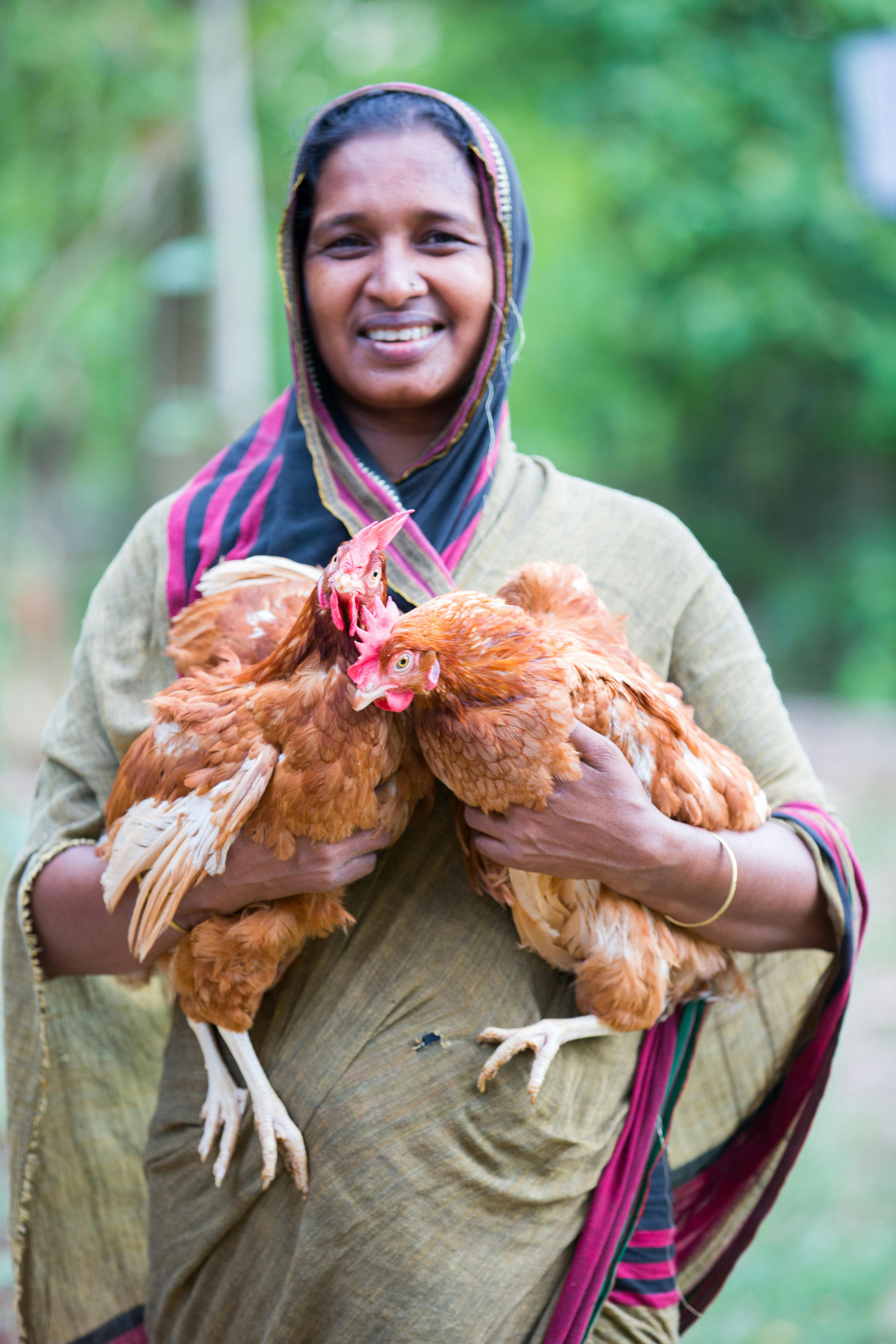 Poultry Feed-1